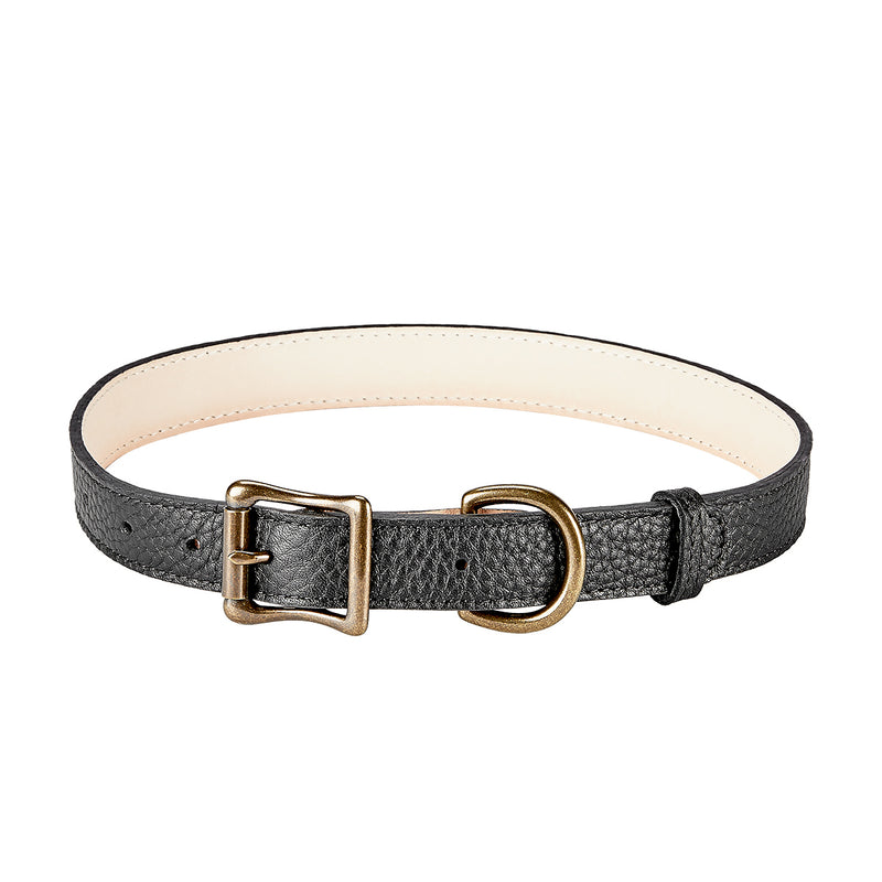 Large Dog Collar