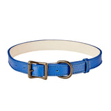 Large Dog Collar