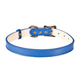 Large Dog Collar