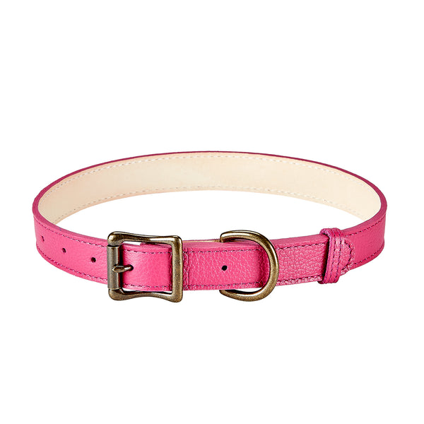 Large Dog Collar