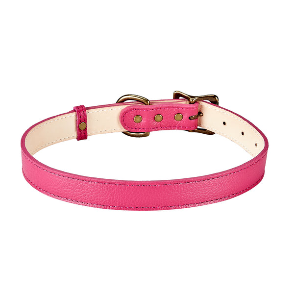 Large Dog Collar