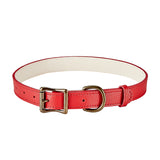 Large Dog Collar