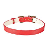 Large Dog Collar