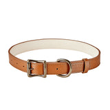 Large Dog Collar