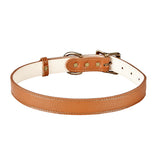 Large Dog Collar