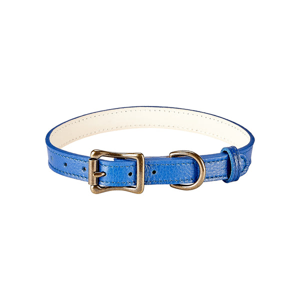 Medium Dog Collar