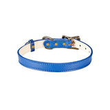 Medium Dog Collar