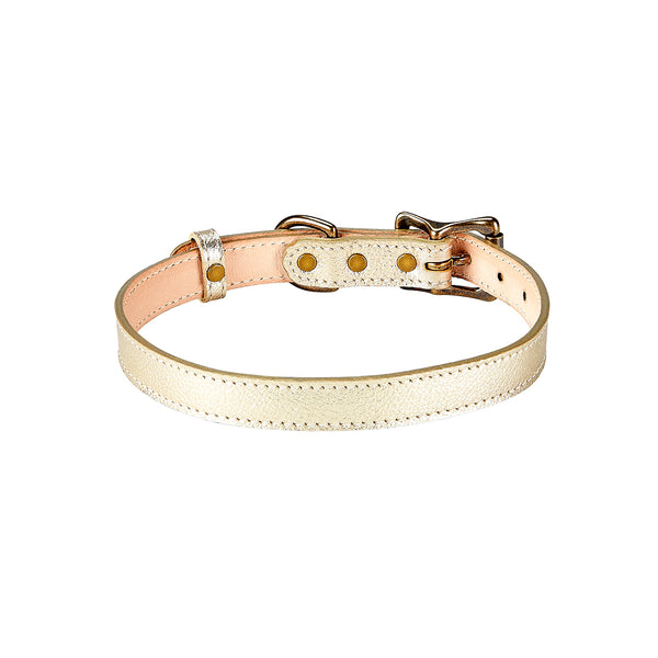 Medium Dog Collar