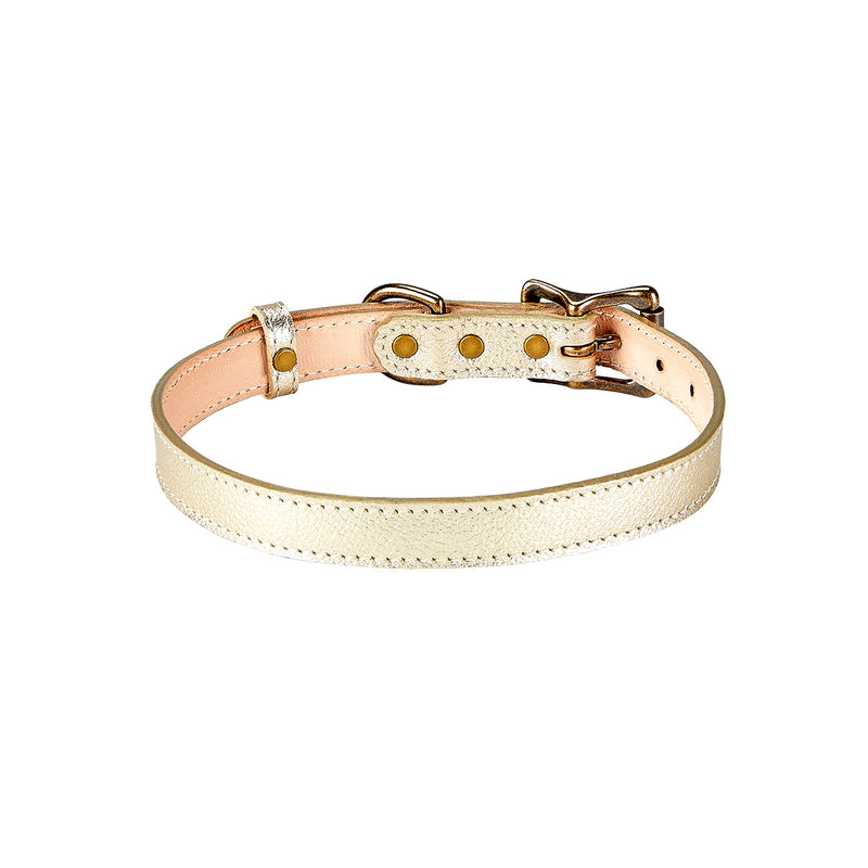 Medium Dog Collar