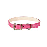 Medium Dog Collar