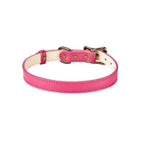 Medium Dog Collar