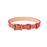 Medium Dog Collar