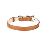 Medium Dog Collar