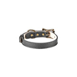 Small Dog Collar