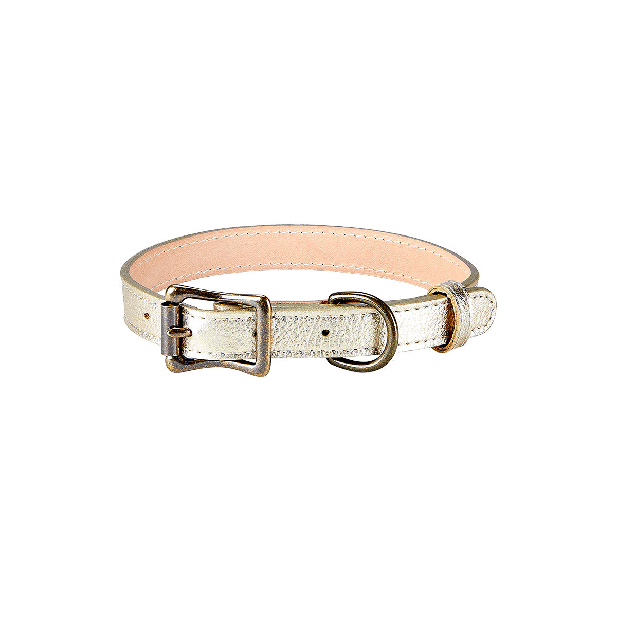 Small Dog Collar