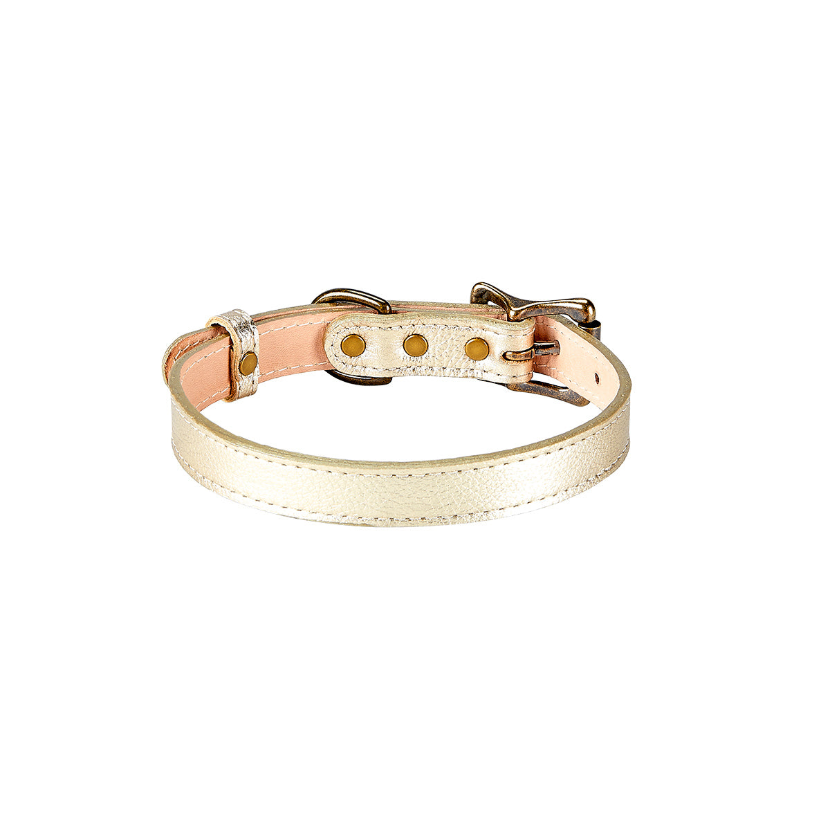 Small Dog Collar