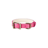 Small Dog Collar