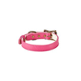 Small Dog Collar