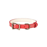 Small Dog Collar