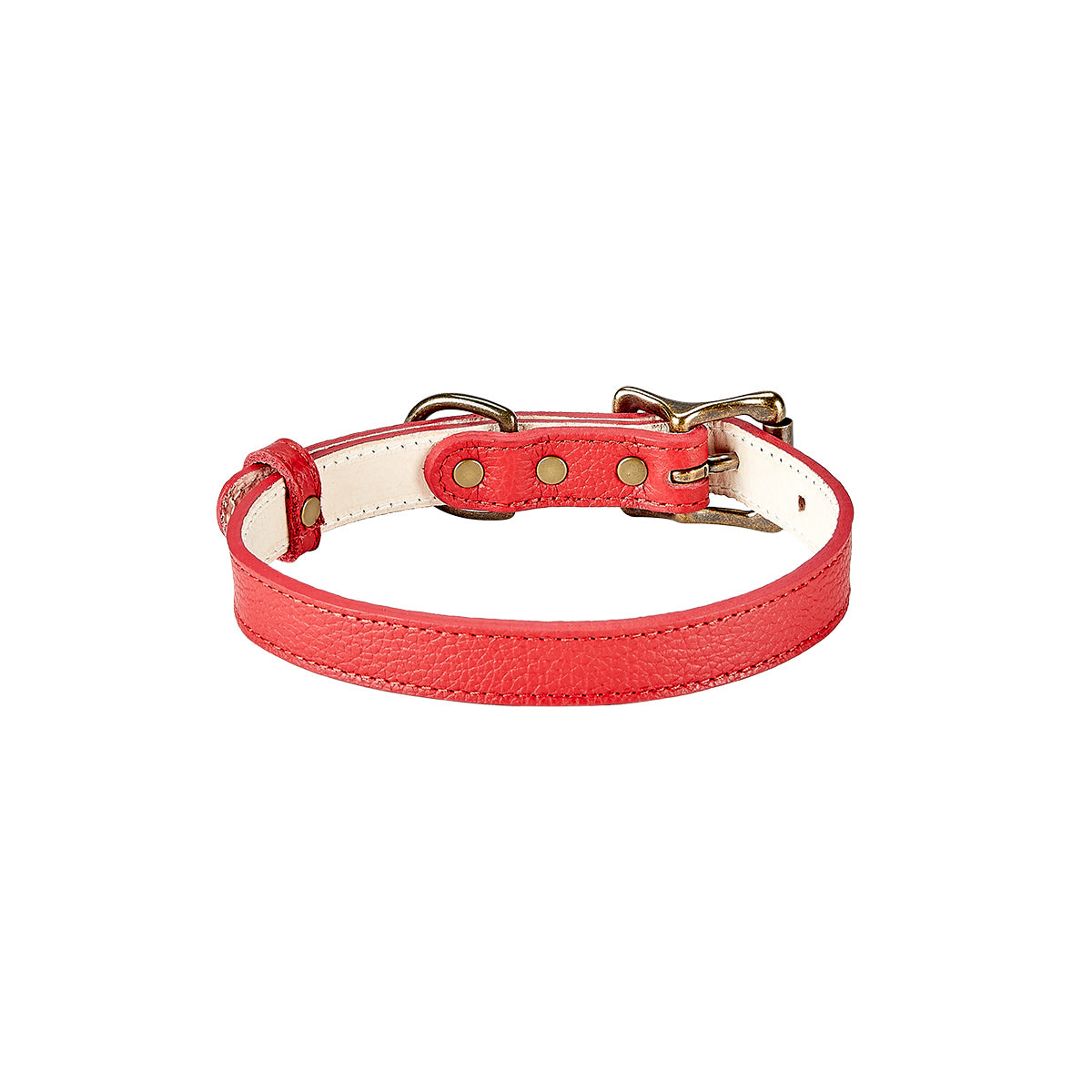 Small Dog Collar