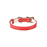 Small Dog Collar