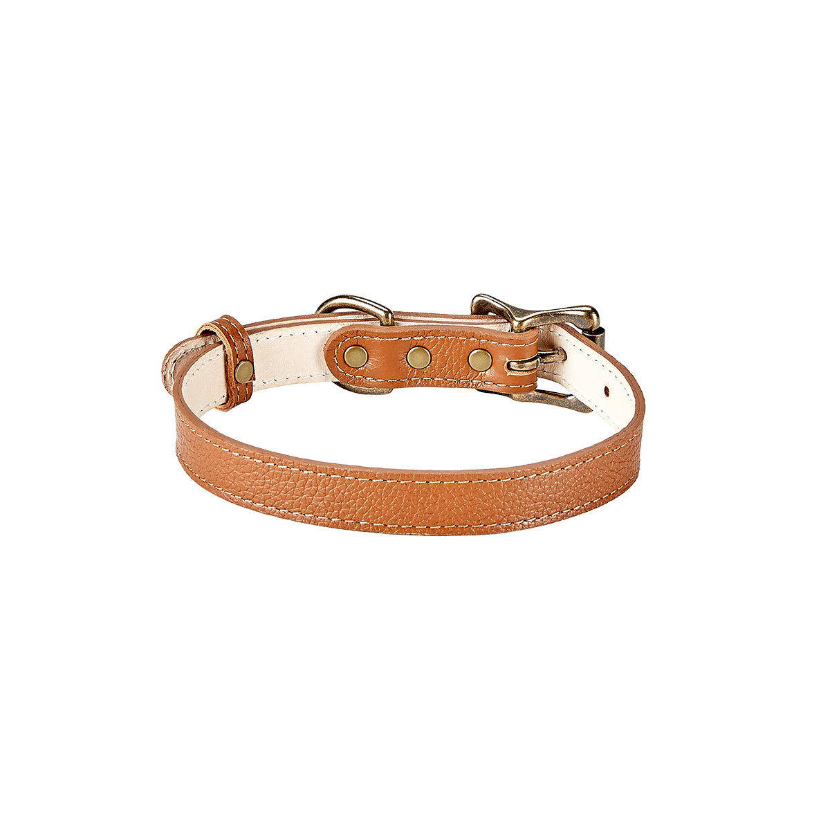 Small Dog Collar