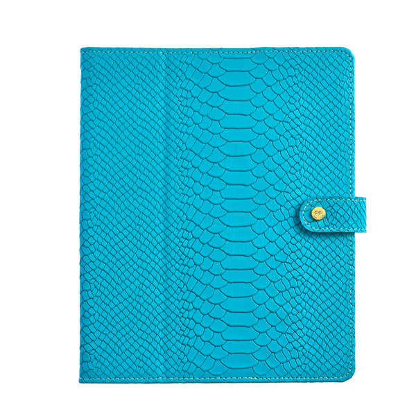 iPad Case