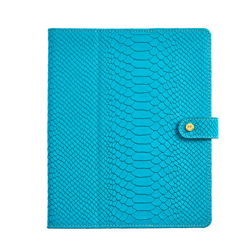 iPad Case