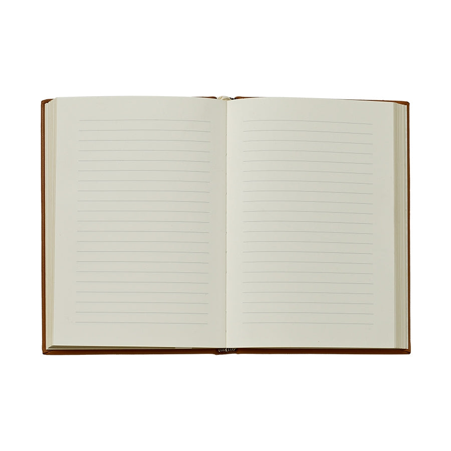 The Paramount Metropolis Journal