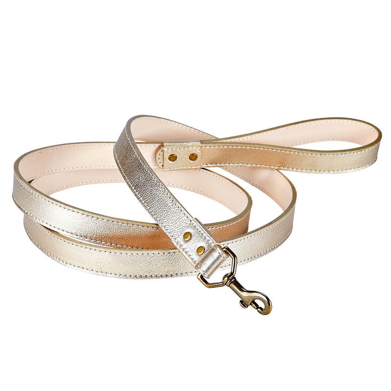 6" Feet Dog Leash