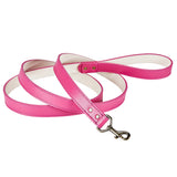 6" Feet Dog Leash
