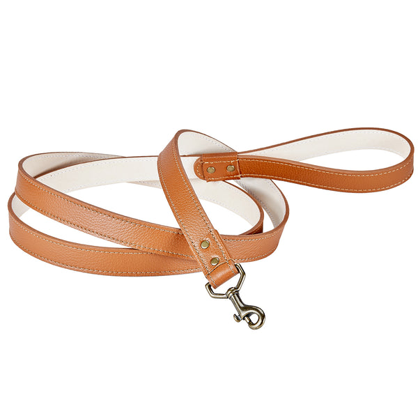 Leather Dog Leashes  Leather Dog Collars in Canada