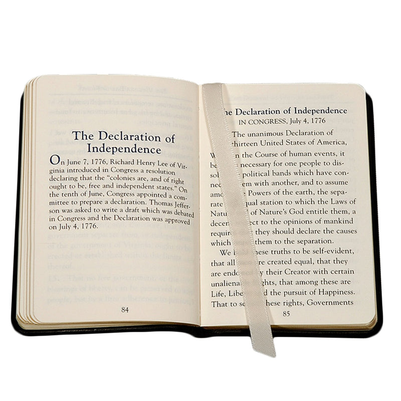 Mini United States Constitution