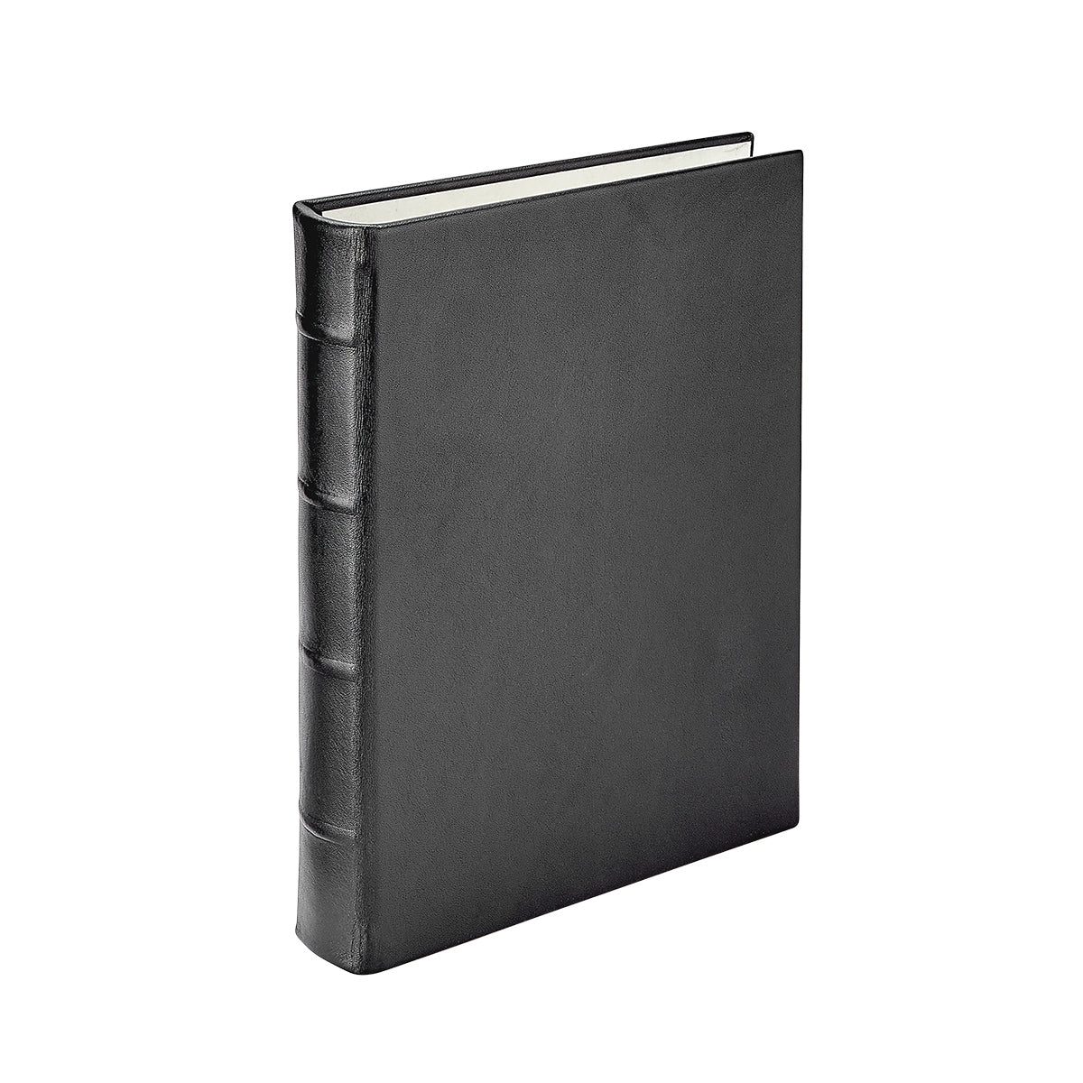 Medium 4-Ring Clear Pocket Album