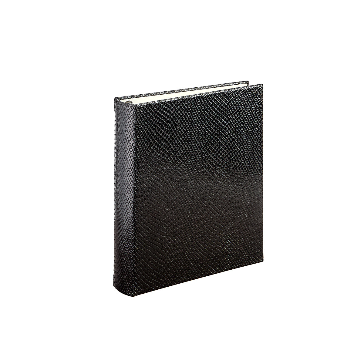 Medium 4-Ring Clear Pocket Album