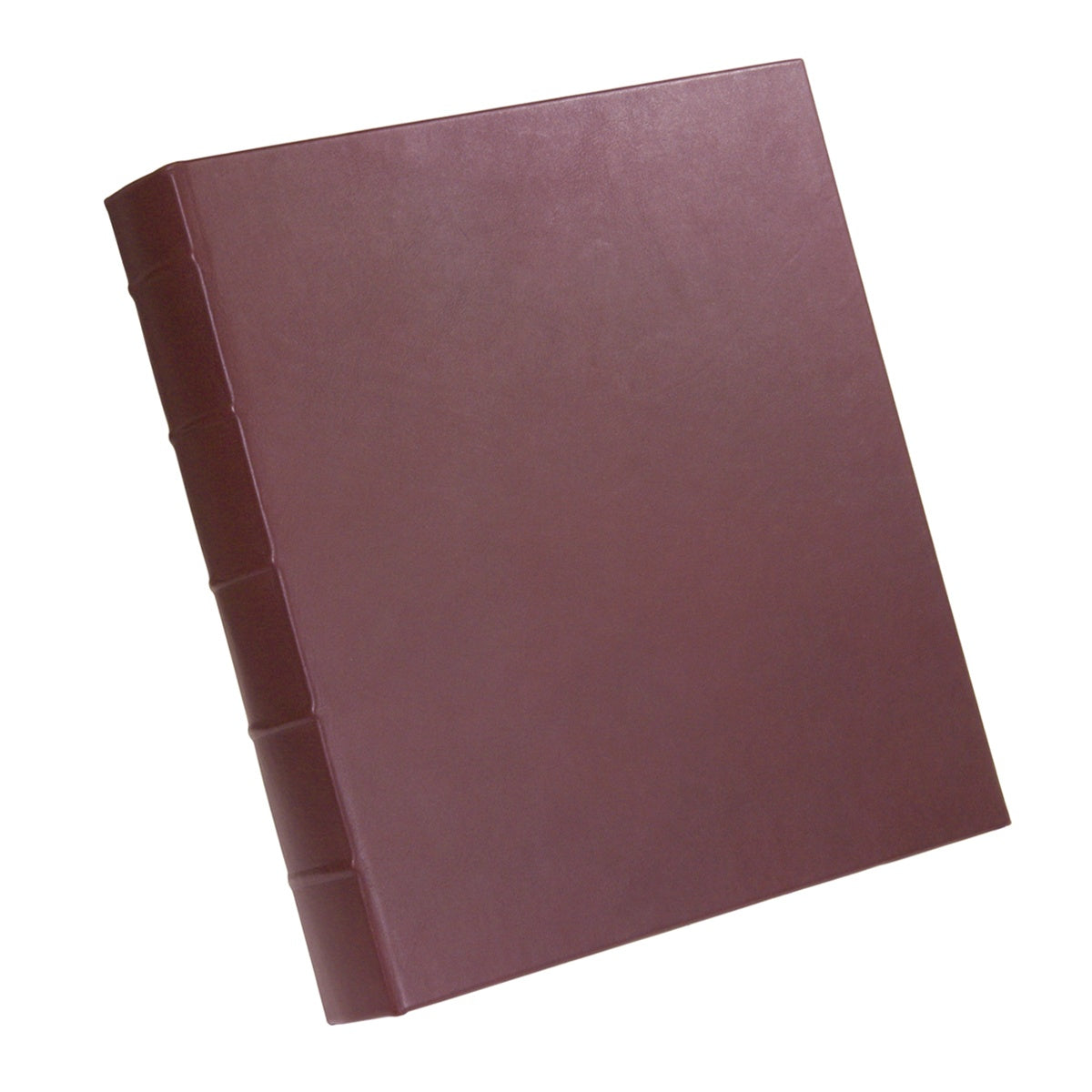 Large 3-Ring Clear Pocket Album