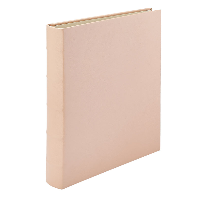Large Ring Clear Pocket Album
