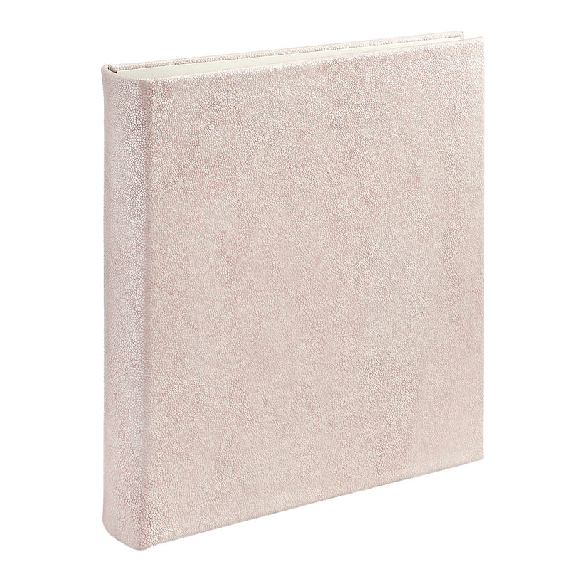 Large Ring Clear Pocket Album