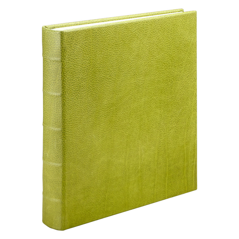 Large Ring Clear Pocket Album