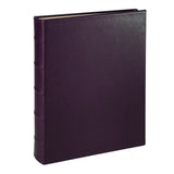Large Ring Clear Pocket Album