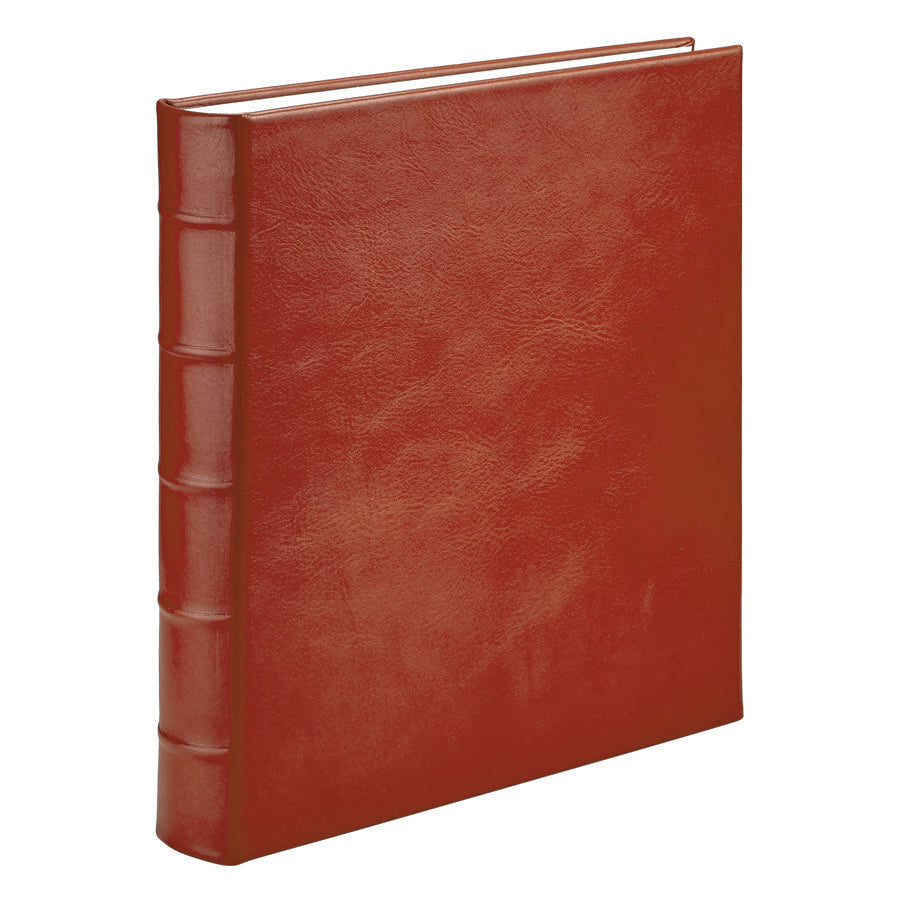 Large 3-Ring Clear Pocket Album