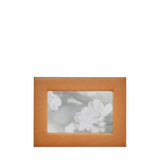 4&#x22; x 6&#x22; Studio Frame